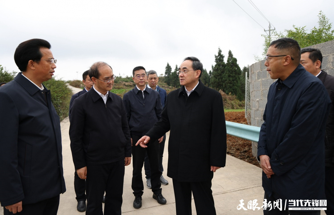 圖為徐麟在盤州市兩河街道花家莊村，了解當?shù)乩暹\處置情況。.jpg